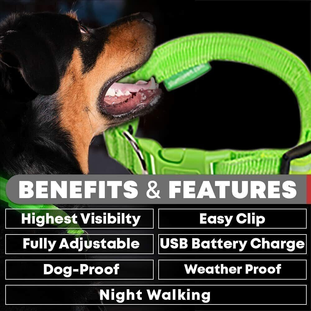 USB Rechargeable LED Pet Dog Collar Flashing Luminous Safety Light up Nylon UK